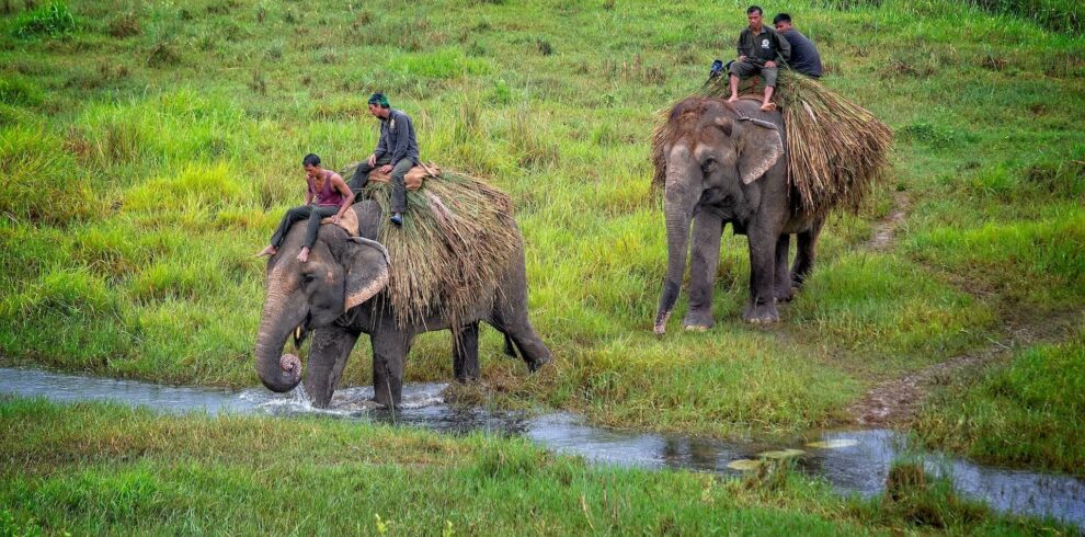 chitwan-3-min